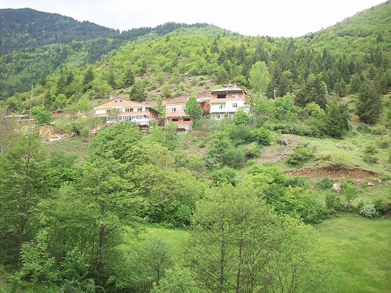 gümüşhane araköy köyü evler Manzara Resimleri